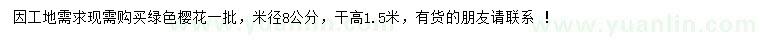 求購米徑8公分綠櫻花