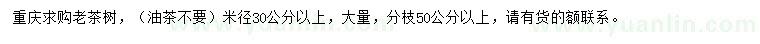 求購米徑30公分以上老茶樹