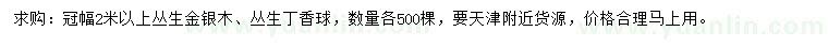 求購(gòu)冠幅2米以上叢生金銀木、叢生丁香球