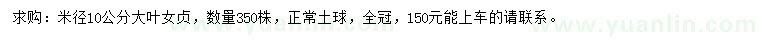 求購米徑10公分大葉女貞