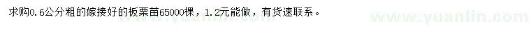 求購粗0.6公分板栗苗