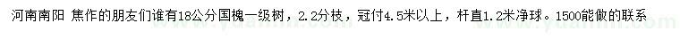 求購18公分國槐