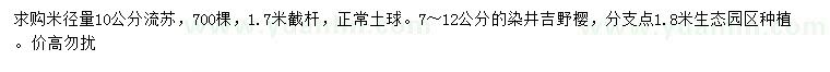 求購米徑量10公分流蘇、7-12公分染井吉野櫻