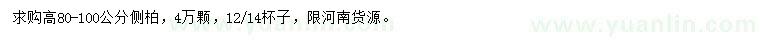 求購(gòu)高80-100公分側(cè)柏