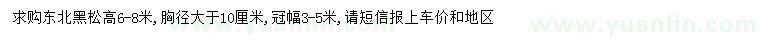 求購胸徑10公分以上東北黑松