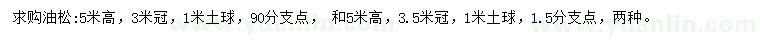求購高5米油松