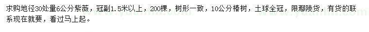 求購(gòu)地徑30處量6公分紫薇、10公分椿樹(shù)
