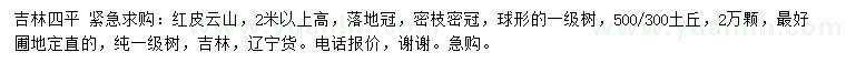求購高2米以上紅皮云山