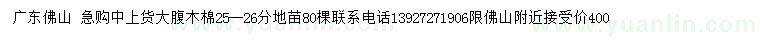 求購(gòu)25-26公分大腹木棉