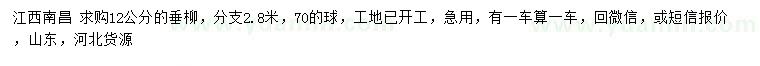 求購12公分垂柳