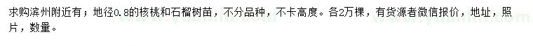 求購地徑0.8公分核桃、石榴樹苗