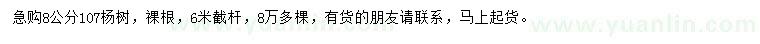 求購8公分107楊樹