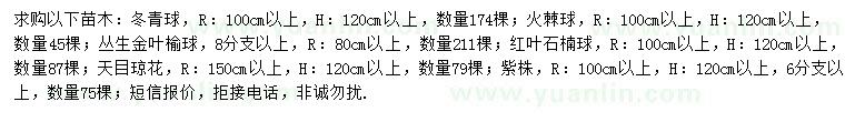 求購冬青球、火棘球、叢生金葉榆球等