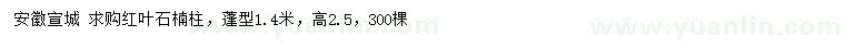 求購高2.5米紅葉石楠柱