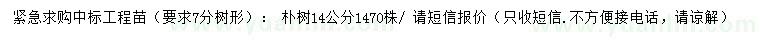 求購14公分樸樹