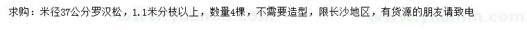 求購(gòu)米徑37公分羅漢松