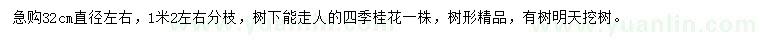 求購直徑32公分左右四季桂