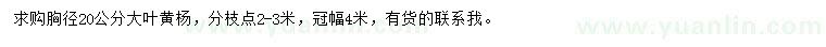 求購(gòu)胸徑20公分大葉黃楊