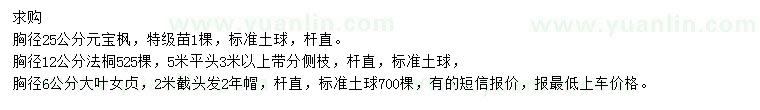 求購(gòu)元寶楓、法桐、大葉女貞