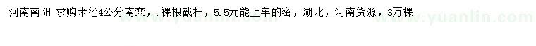 求購米徑4公分南欒