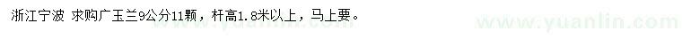 求購9公分廣玉蘭