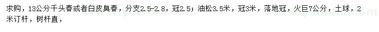 求購千頭椿、白皮臭椿、火枸