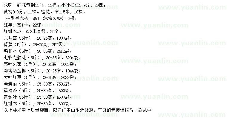 求購紅花紫荊、黃槐、柱型星光榕等