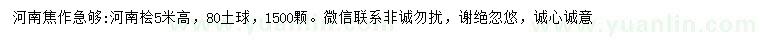 求購高5米河南檜