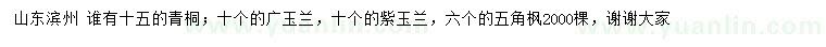 求購(gòu)青桐、廣玉蘭、紫玉蘭等