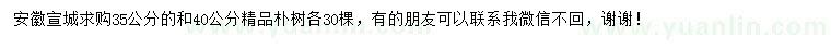 求購35、40公分精品樸樹