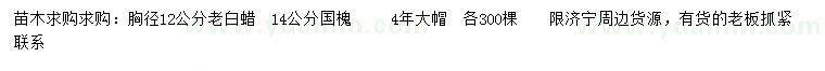 求購胸徑12公分老白蠟、14公分國槐