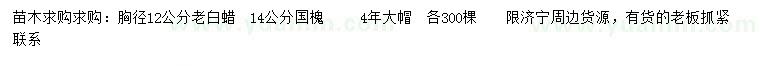 求購(gòu)胸徑12公分老白蠟、14公分國(guó)槐