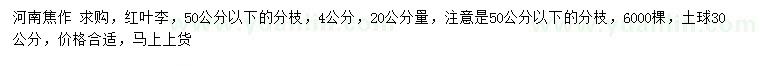 求購(gòu)4公分紅葉李