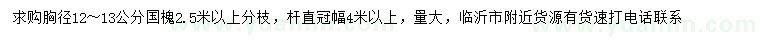 求購胸徑12～13公分國槐