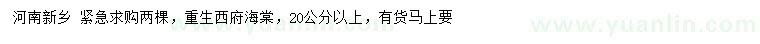 求購20公分西府海棠