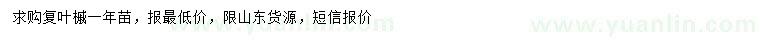 求購復葉槭一年苗