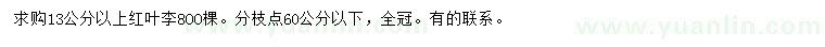 求購(gòu)13公分以上紅葉李