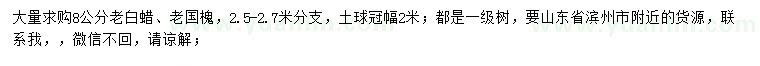 求購8公分老白蠟、老國槐
