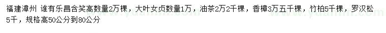 求購樂昌含笑、大葉女貞、油茶等