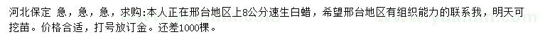 求購8公分速生白蠟