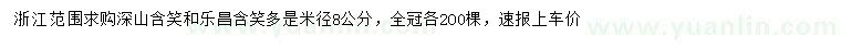 求購(gòu)米徑8公分深山含笑、樂昌含笑