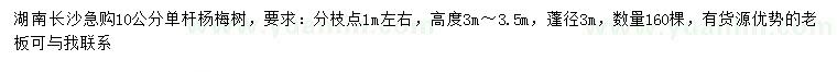 求購10公分單桿楊梅樹(shù)