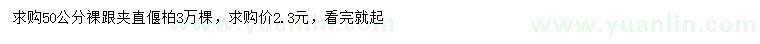 求購50公分夾直偃柏