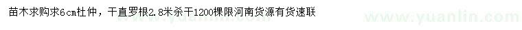 求購6公分杜仲