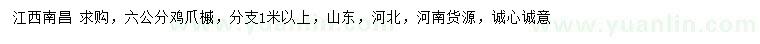 求購6公分雞爪槭
