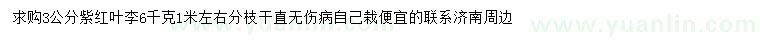 求購(gòu)3公分紫、紅葉李