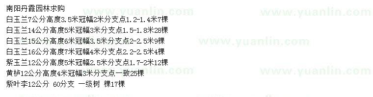 求購(gòu)白玉蘭、紫玉蘭、黃櫨等