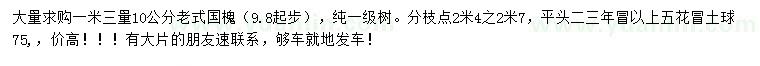 求購1.3米量10公分老式國槐