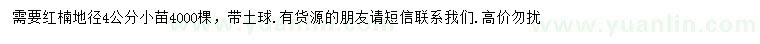 求購地徑4公分紅楠小苗