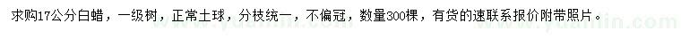 求購17公分白蠟 